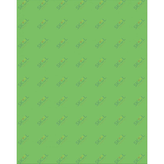 Poster Board 22" x 28"
