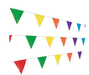 Multicolor Pennant Banner 100ft