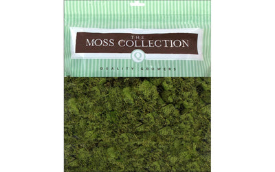 Tree Moss Green Medium 5.68QT