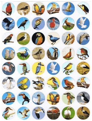 Birds & Nature Stickers 3/4" 10/sheets