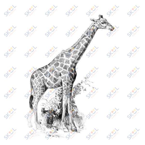 Giraffe Mini Sketching