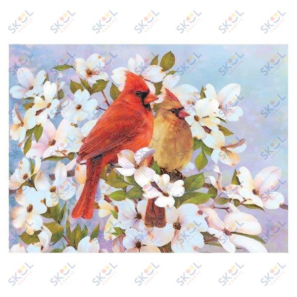 Cardinals Pencil Color Pencil by Number