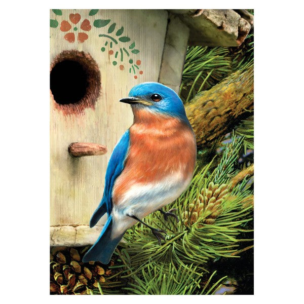 Eastern Bluebird Mini Paint by Number 5x7"