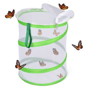 Circular Butterfly Cage Set